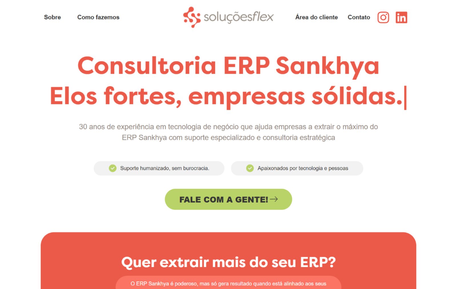 Soluções Flex - Estratégia de Marca, Branding e Website